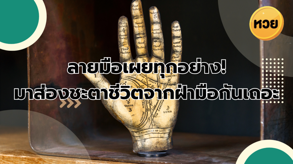 ลายมือเผยทุกอย่าง! มาส่องชะตาชีวิตจากฝ่ามือกันเถอะ